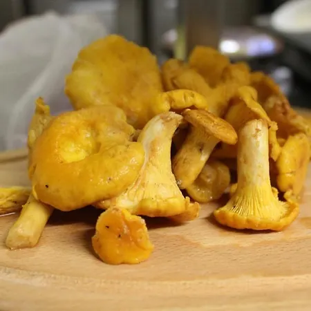 Logis Hotels- De La Tour - Et Restaurant Hotel 2*