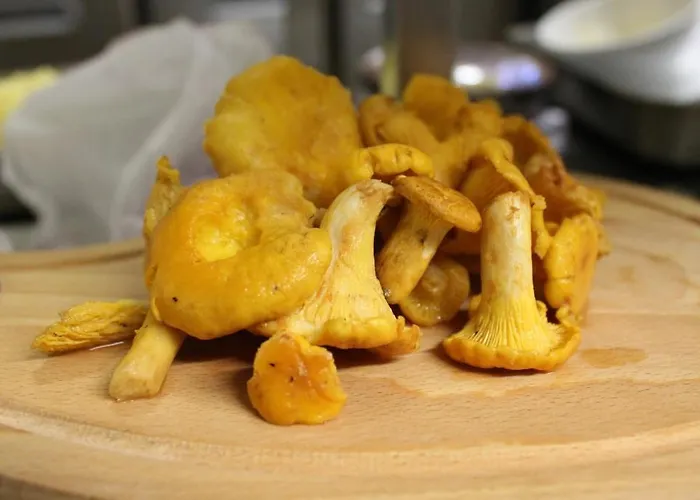 Logis Hotels- De La Tour - Et Restaurant Hotel 2*