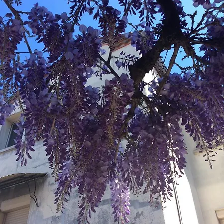 Logis Hotels- De La Tour - Et Restaurant Sauzet (Lot)