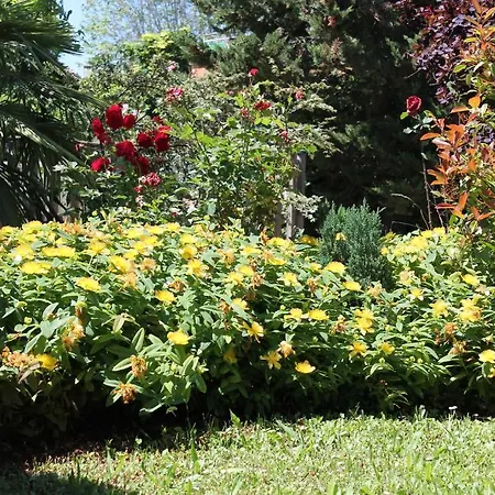 Logis Hotels- De La Tour - Et Restaurant