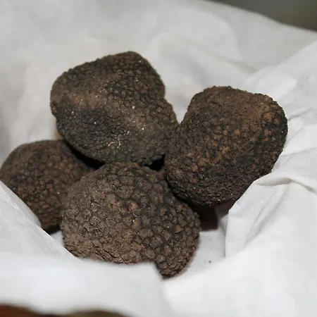 Logis Hotels- De La Tour - Et Restaurant Szálloda Sauzet