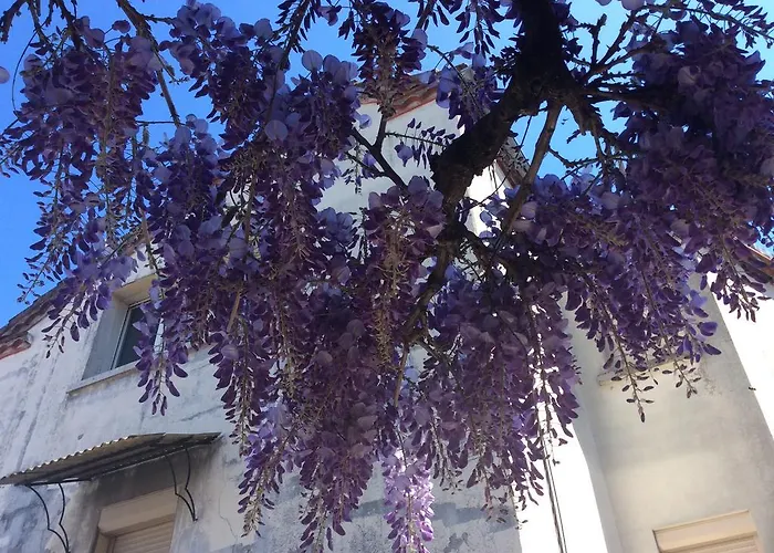 Logis Hotels- De La Tour - Et Restaurant Sauzet